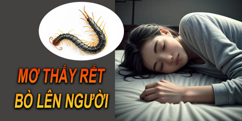 Giải mã số đề khi mơ thấy rết bò lên người