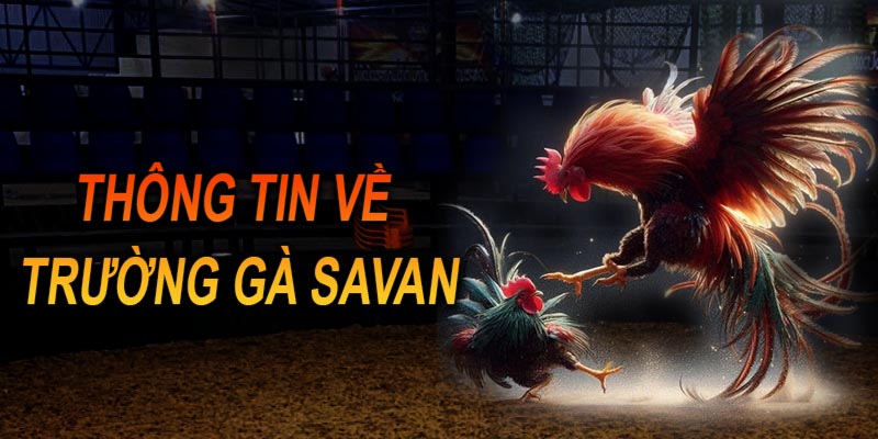 Cập nhật nguồn tin về địa danh Trường gà Savan