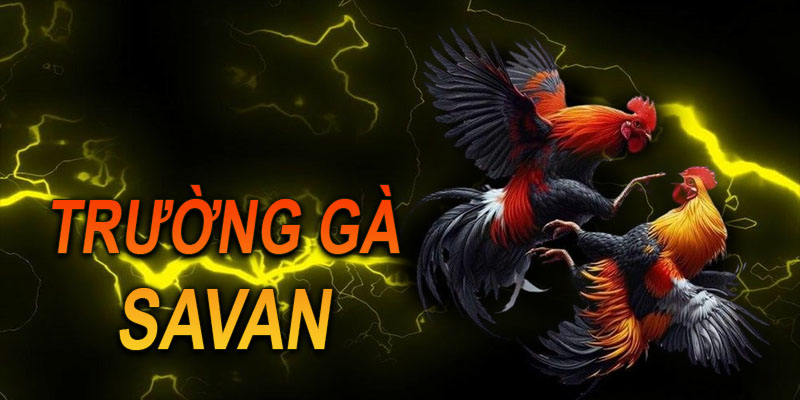 Trường gà Savan có mặt tại KUWiN